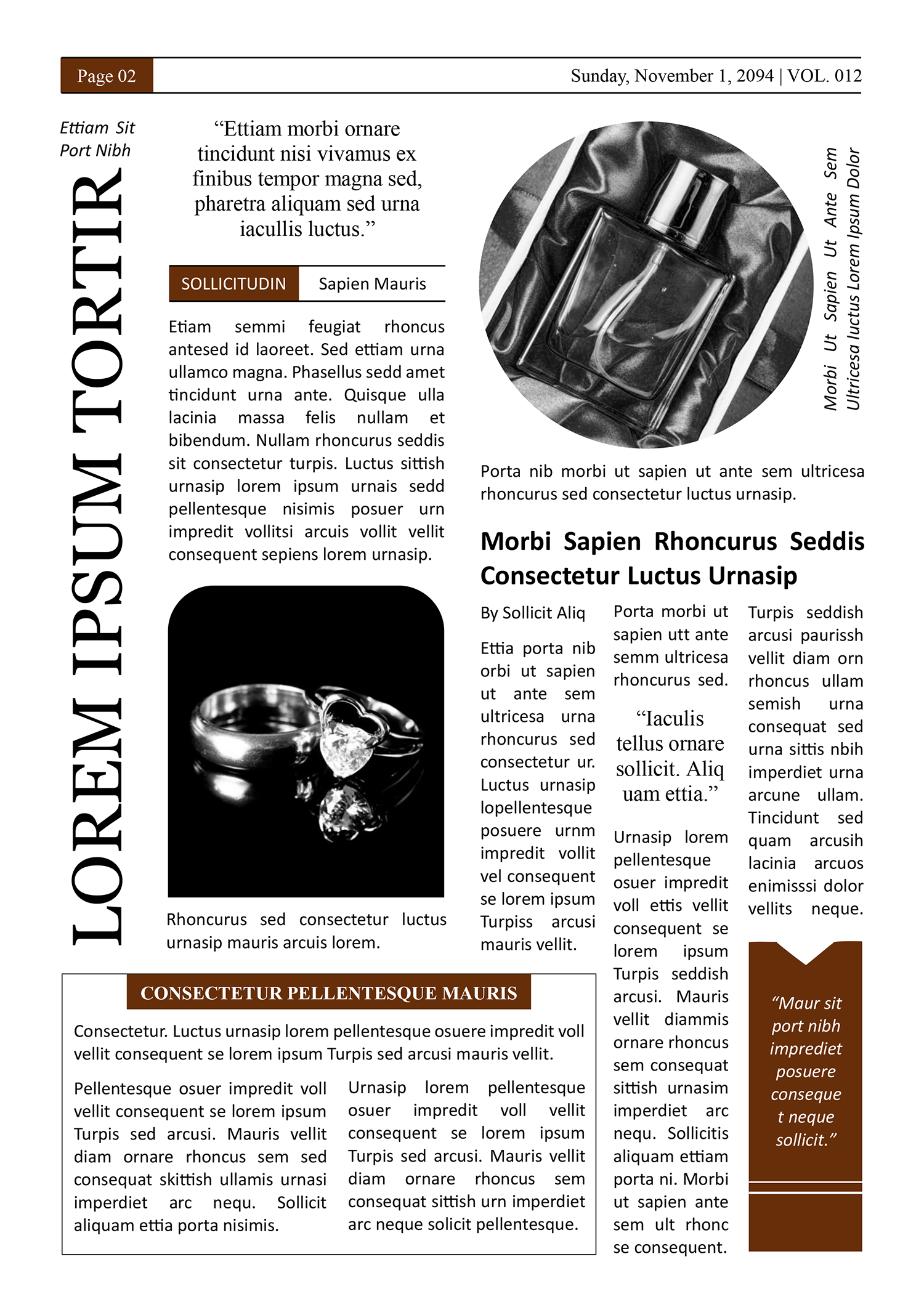 Brown Newspaper Front Page Template - Page 02